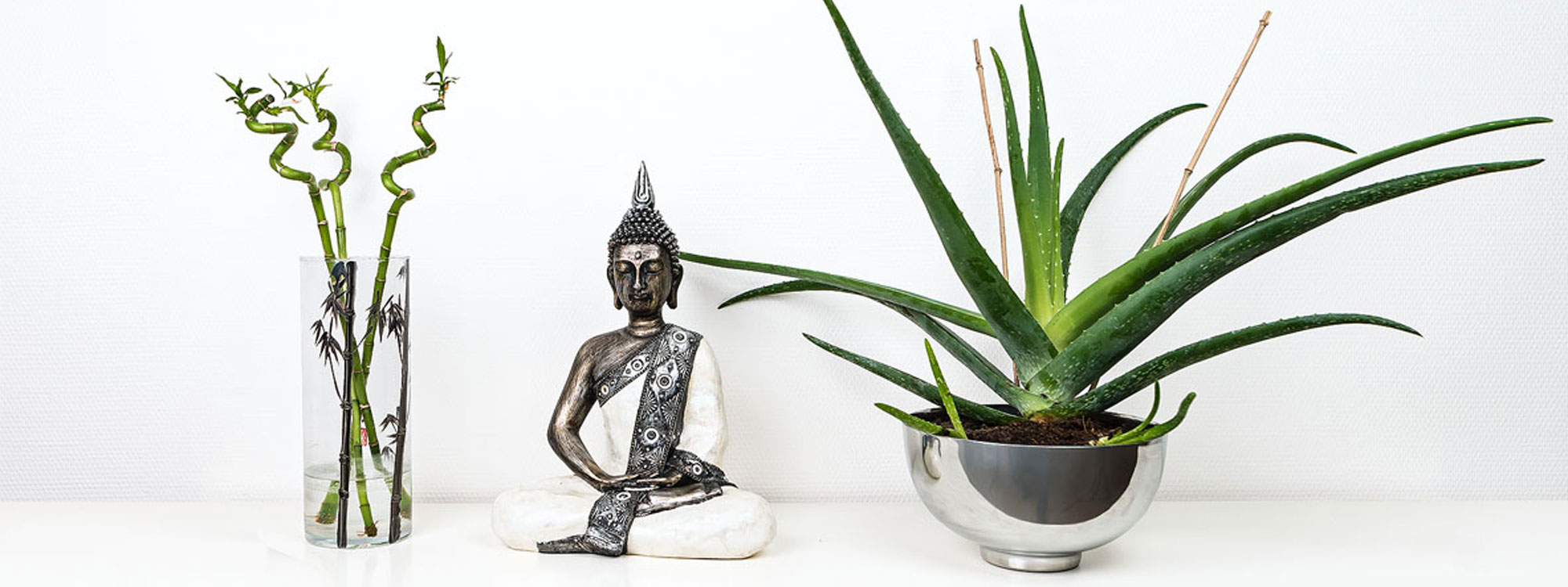 Achtsamkeit, Meditation in Bamberg, Meditationskurs